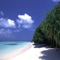 Royal Island Beach