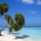 Royal Island Beach