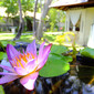 holiday island resort maldives araamu spa