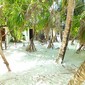 holiday island resort maldives beach