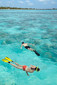 Shangri La Villingili Maldives snorkelling