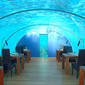 conrad rangali maldives holiday ithaa underwater restaurant