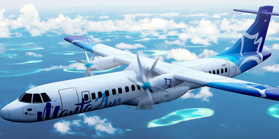 Domestic Plane