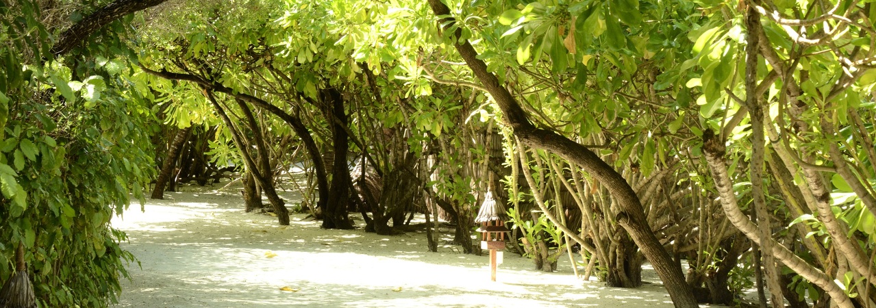 Anantara Veli&nbsp;