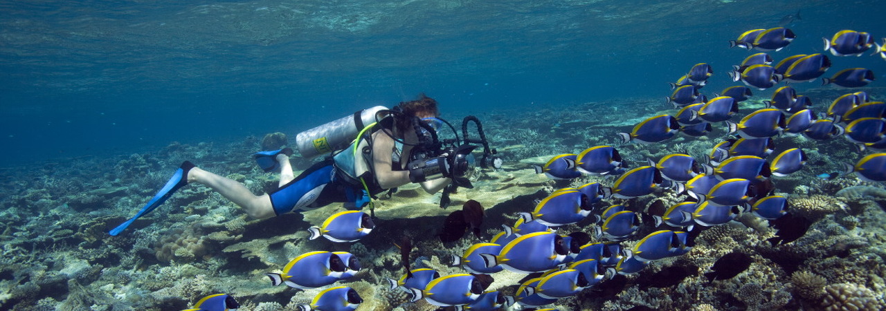 Dhawa&nbsp;Ihuru Diving