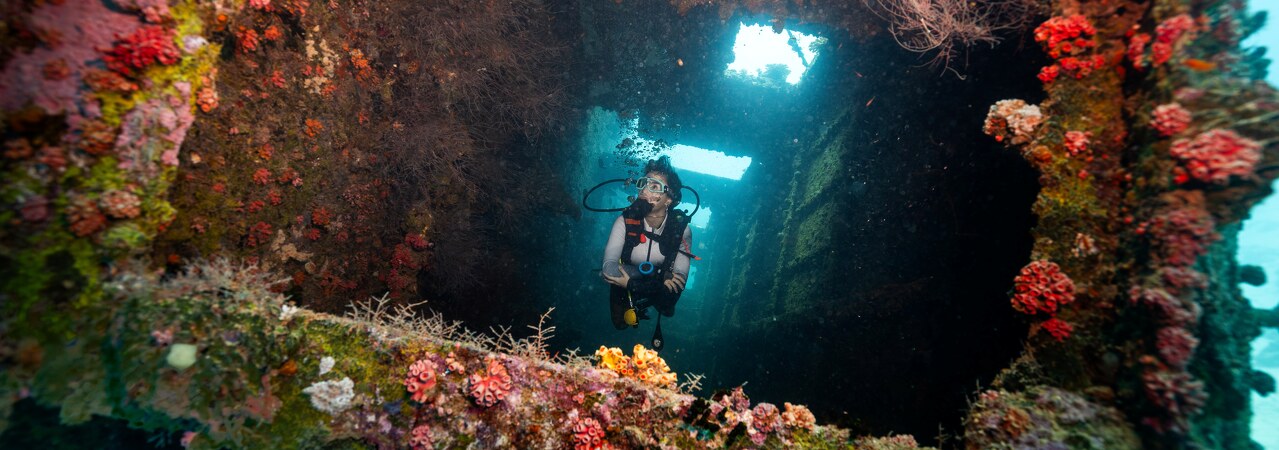 Dhawa Ihuru shipwreck diving