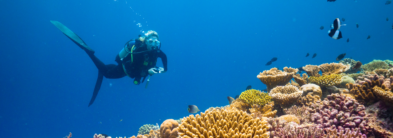 Baglioni Resort Maldives diving reef