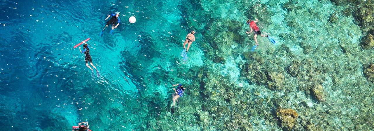 Bandos island resort and spa snorkel