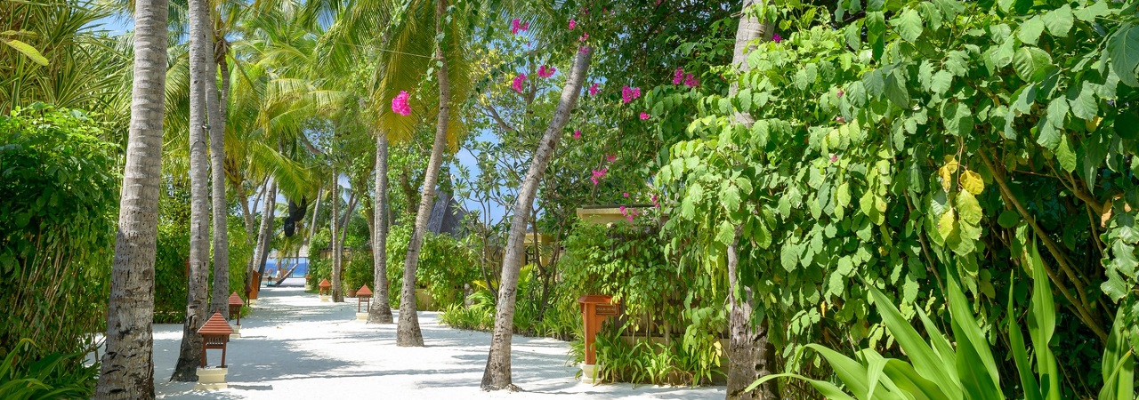 Banyan Tree Vabbinfaru&nbsp;