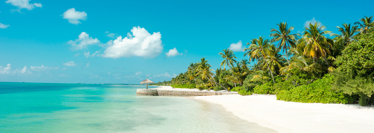 Canareef Resort Maldives