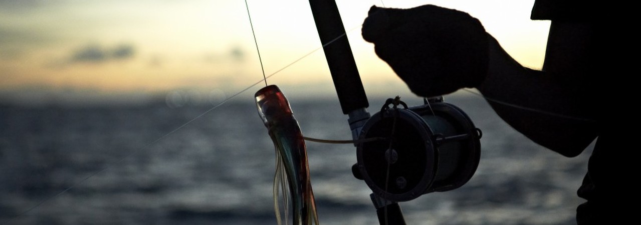 Fishing Experience