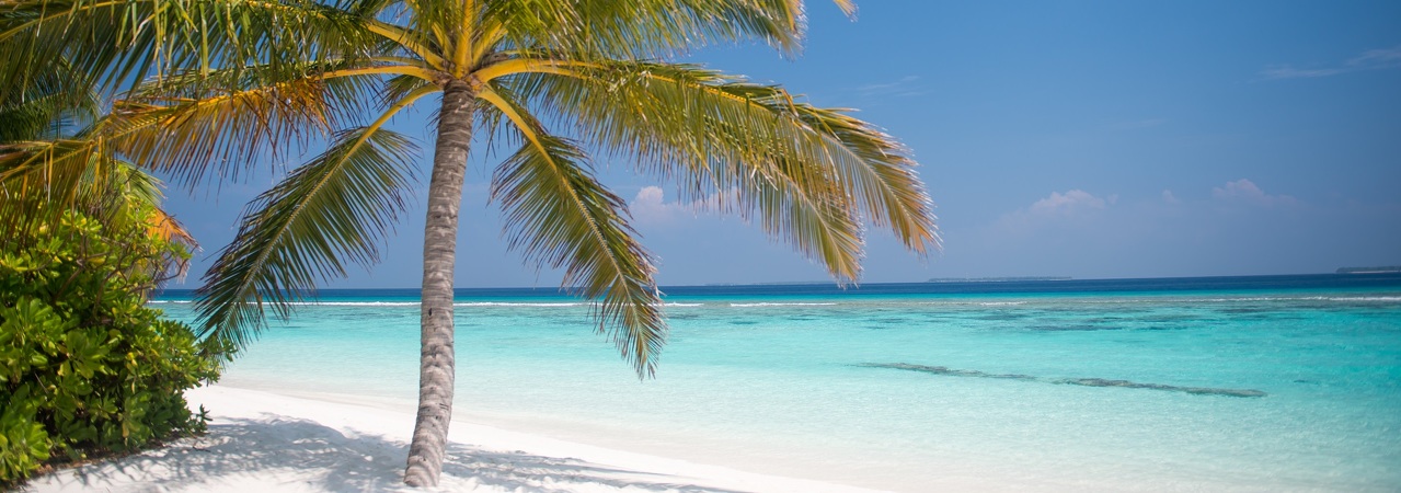 Coco Palm Dhuni Kolhu