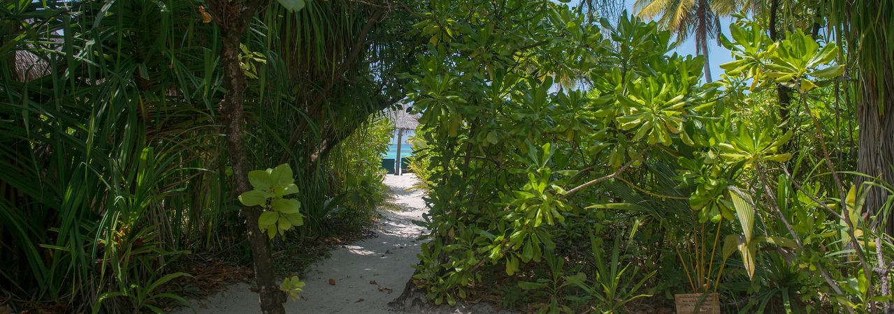 Coco Palm Dhuni Kolhu