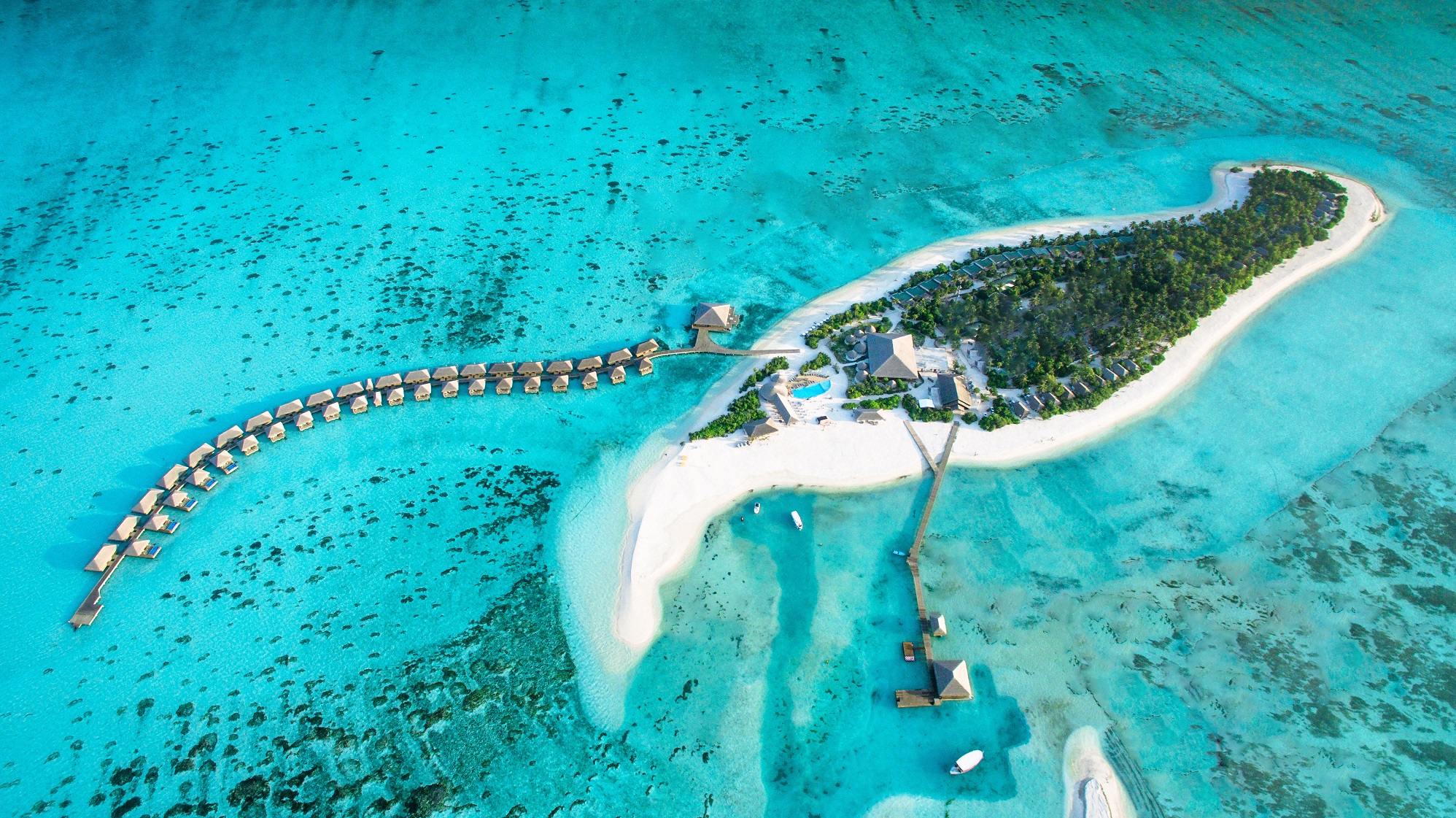 cocoon-maldives-the-maldives-experts-for-all-resort-hotels-and