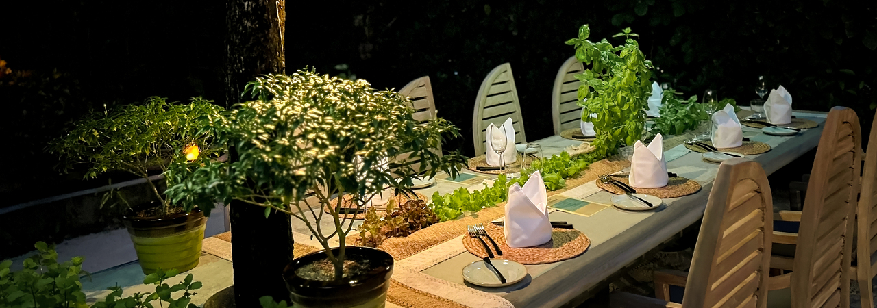 eco-licious experience