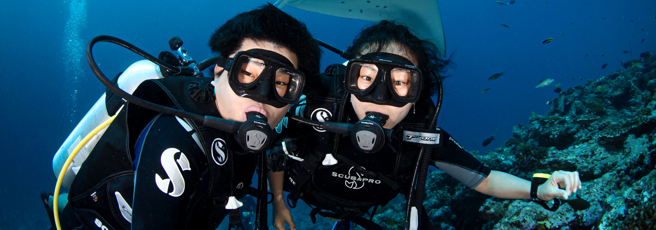 Diving with manta rays