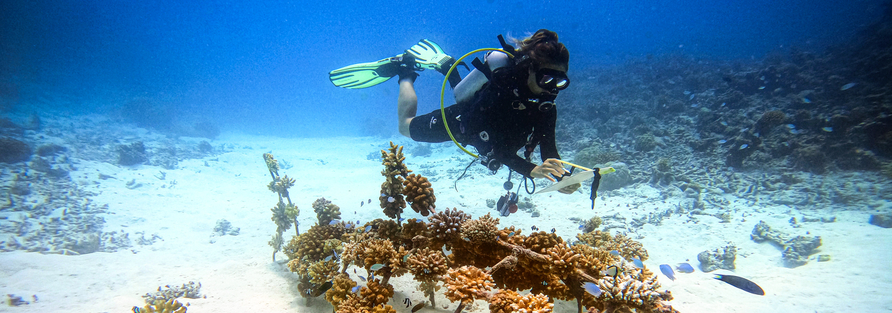 Marine biology