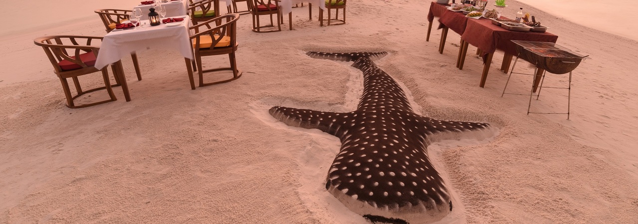 Dhigufaru Maldives&nbsp;