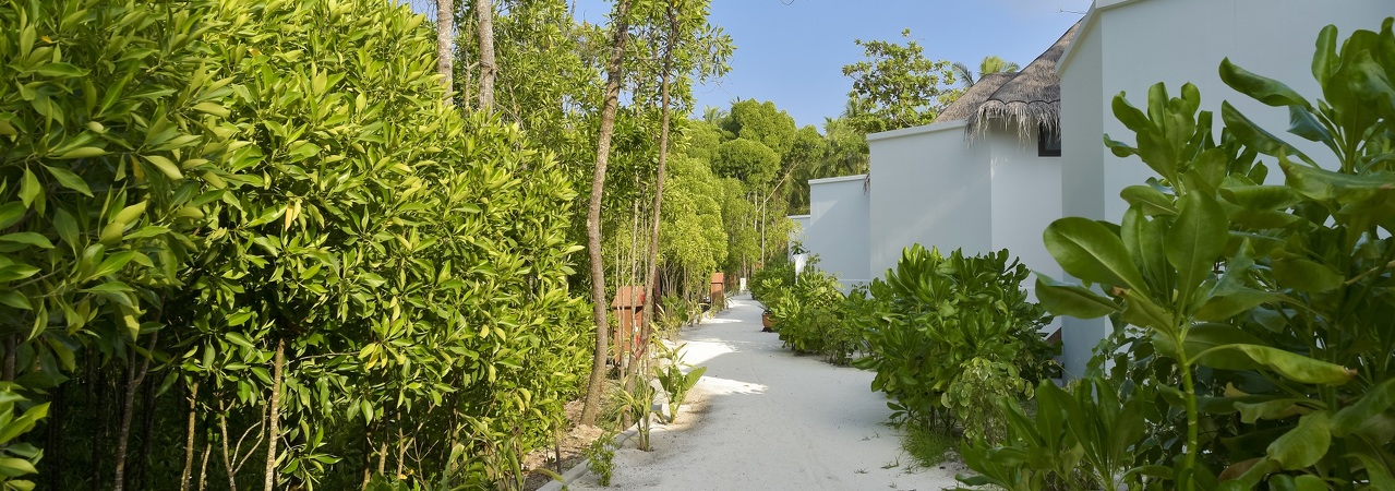 Dreamland Maldives&nbsp;