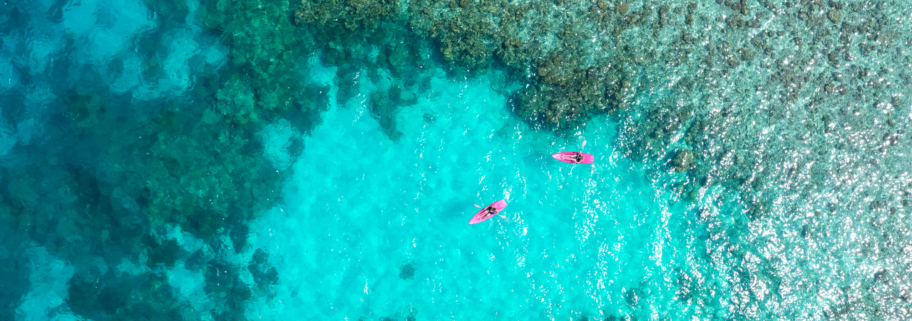 Embudu Village reef aerial