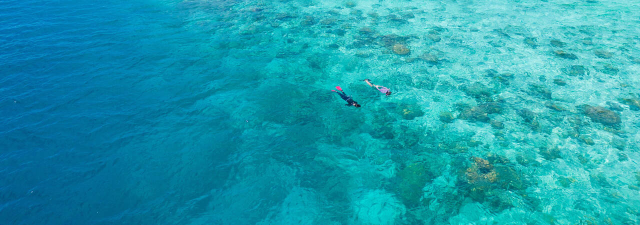 fihalhohi resort maldives bargain cheap holiday snorkelling