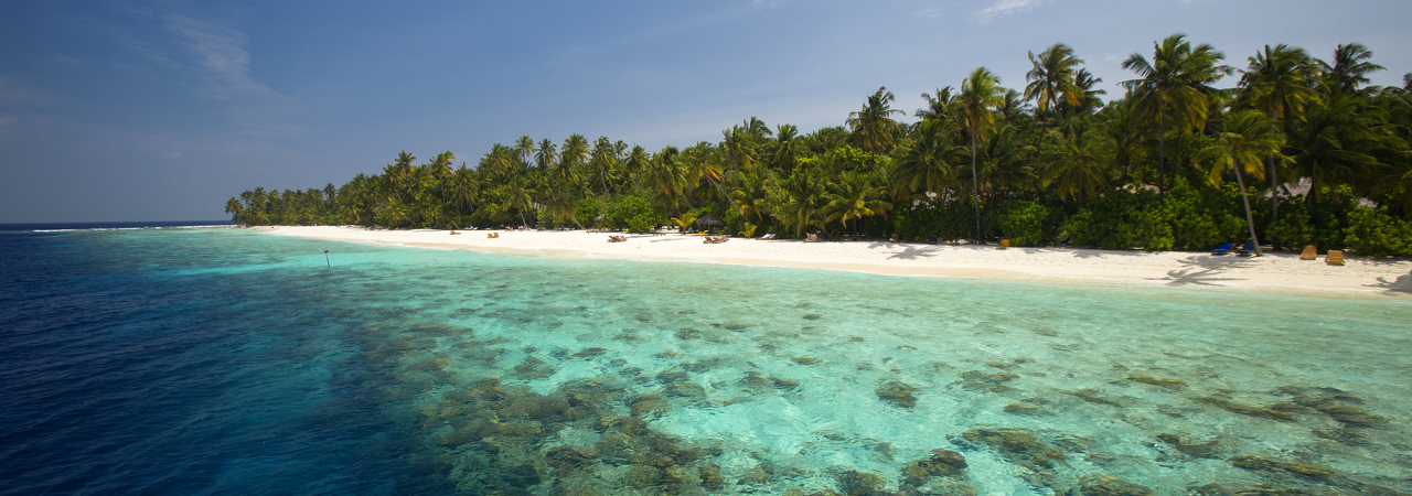 Filitheyo Island Resort Maldives house reef