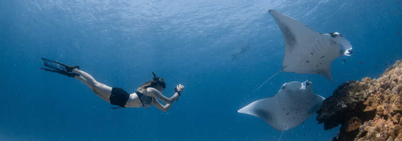 Four Seasons Landaa Giraavaru mantas 2