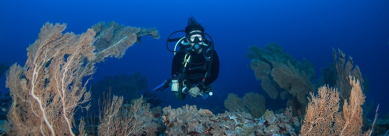 Grand Park KodhipparuDiving