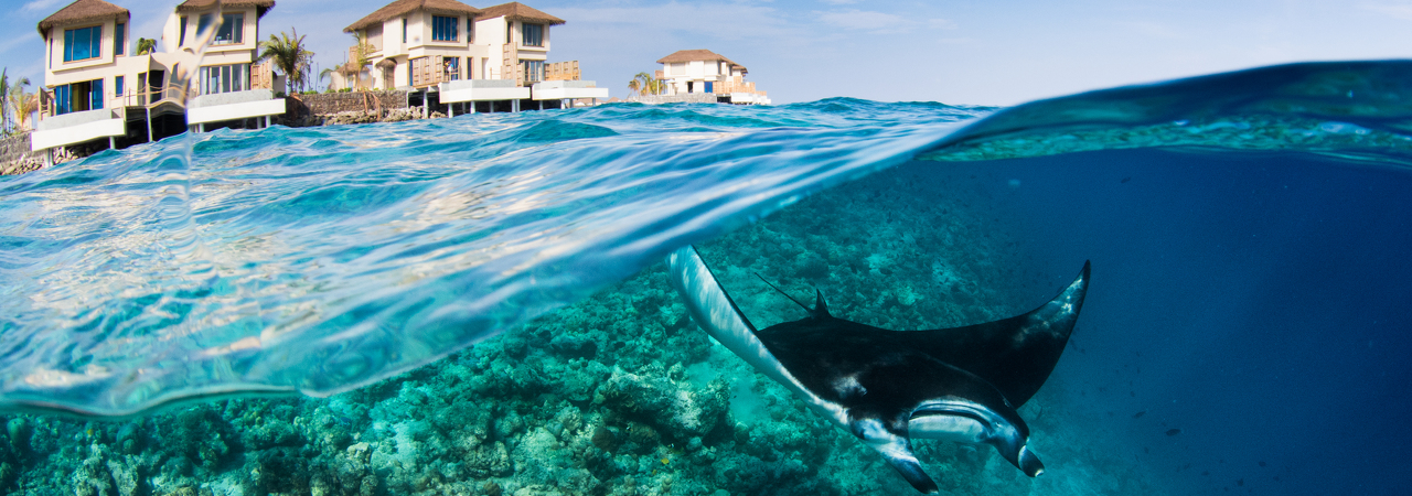 InterContinental Maamunagau Resort and Spa Maldives&nbsp;