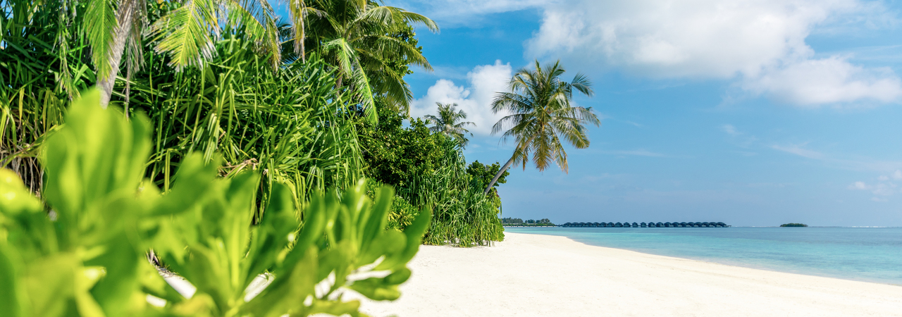 Jawakara resort Maldives beach lagoon foliage sand ocean