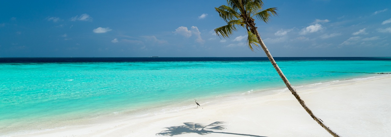LUX* North Malé