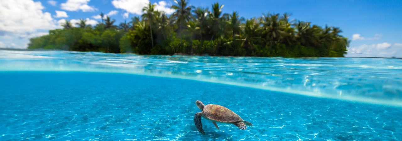 Kudadoo Resort Maldives