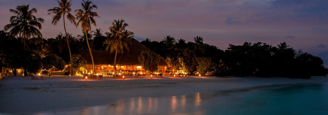 Kudafushi Olive Me
