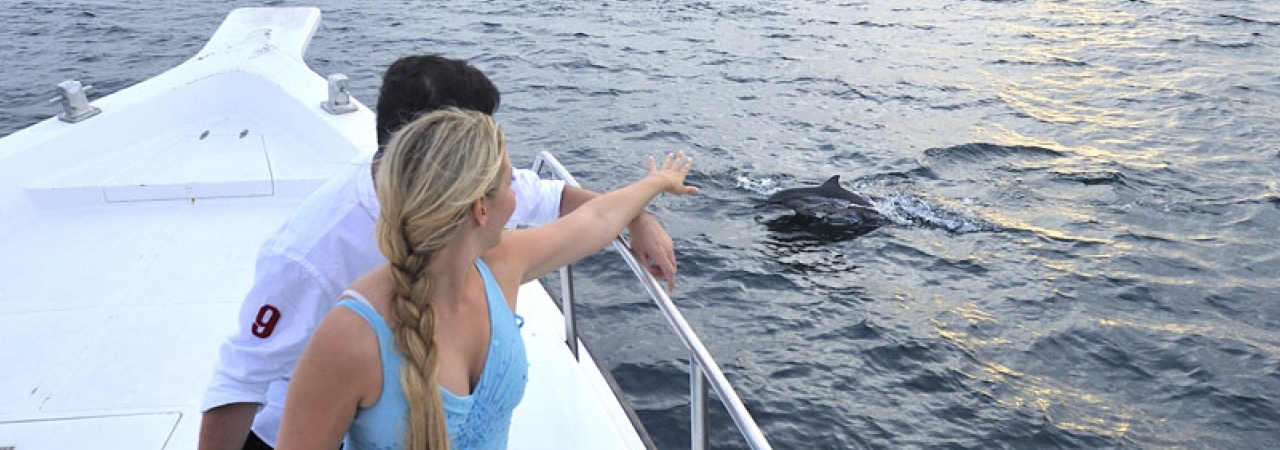 Kurumba Island Resort Maldives dolphin cruise