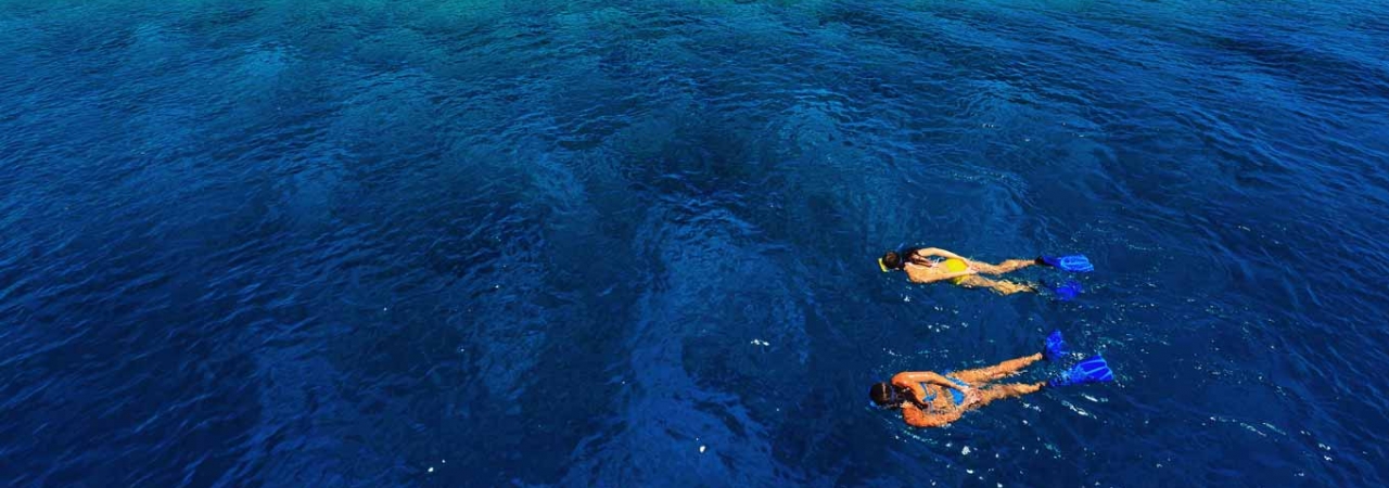 Kurumba Island Resort Maldives snorkeling