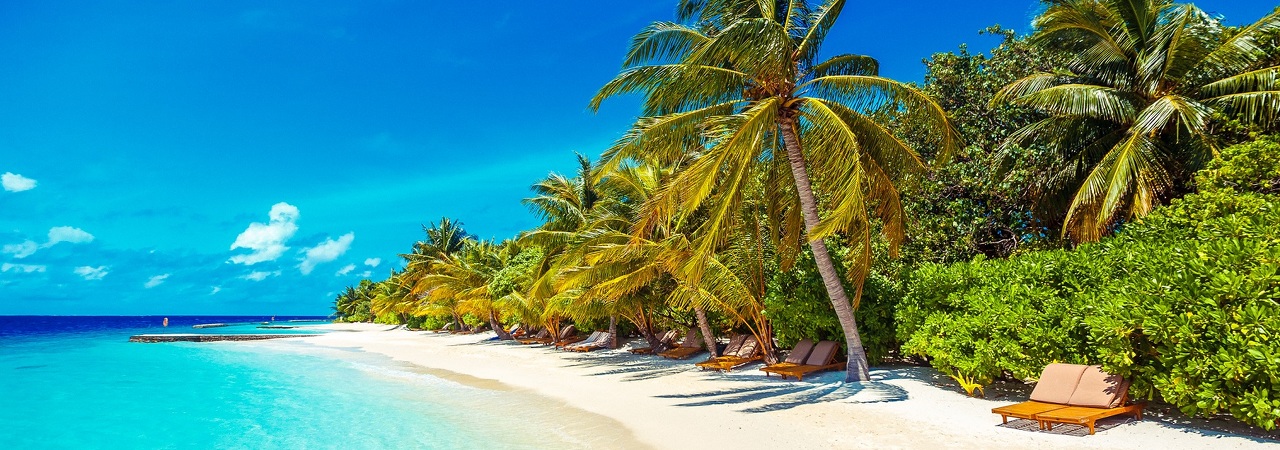 Lily Beach