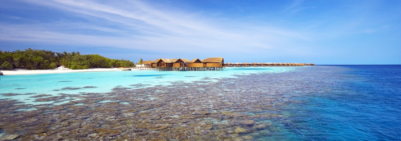 Lily Beach Resort House Reef