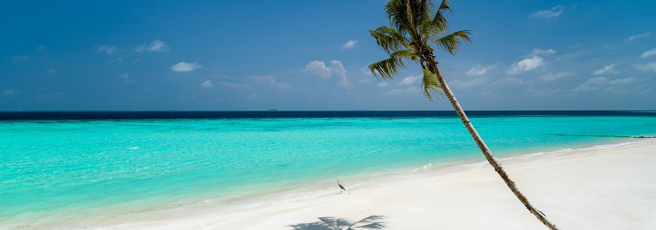 LUX* North Malé