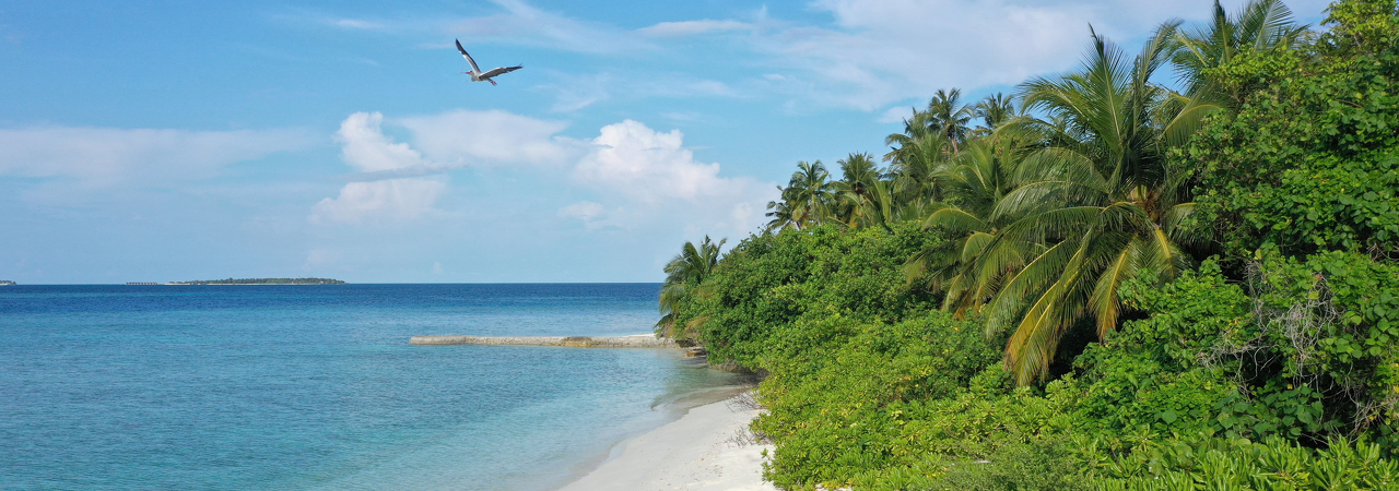 Makunudu Island resort maldives beach
