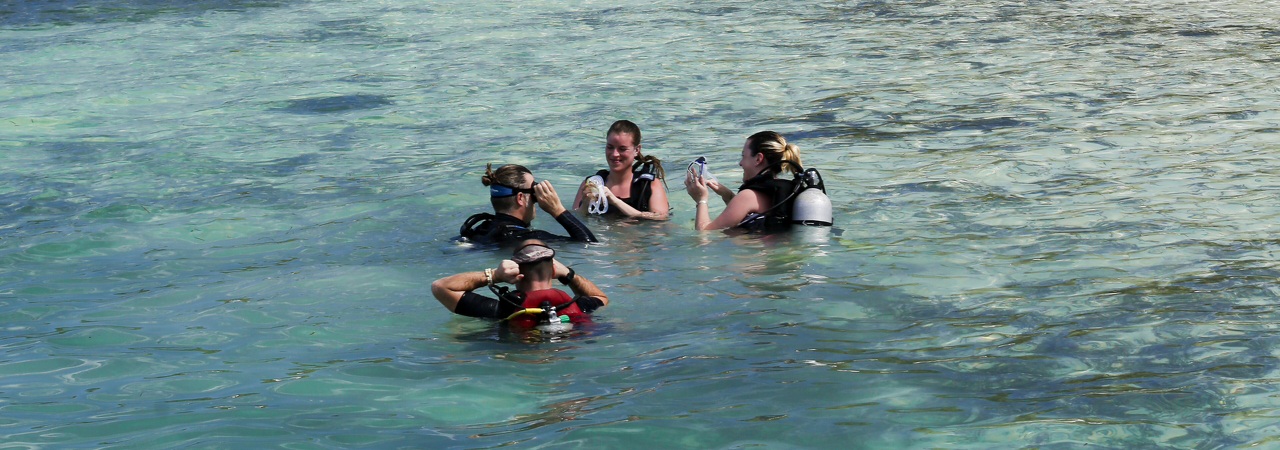 Medhufushi resort Maldives diving