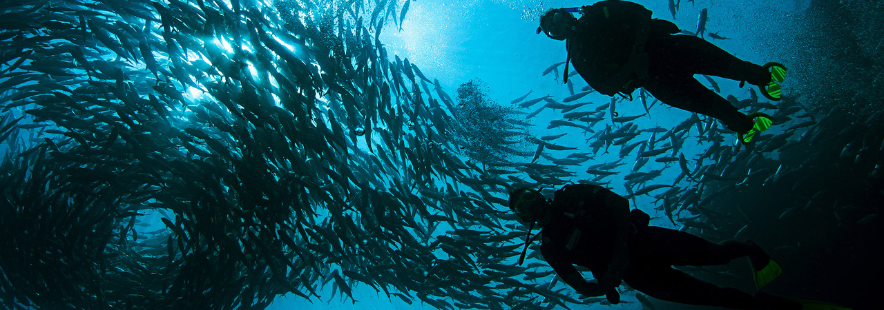 Meeru Island Resort Maldives diving 1