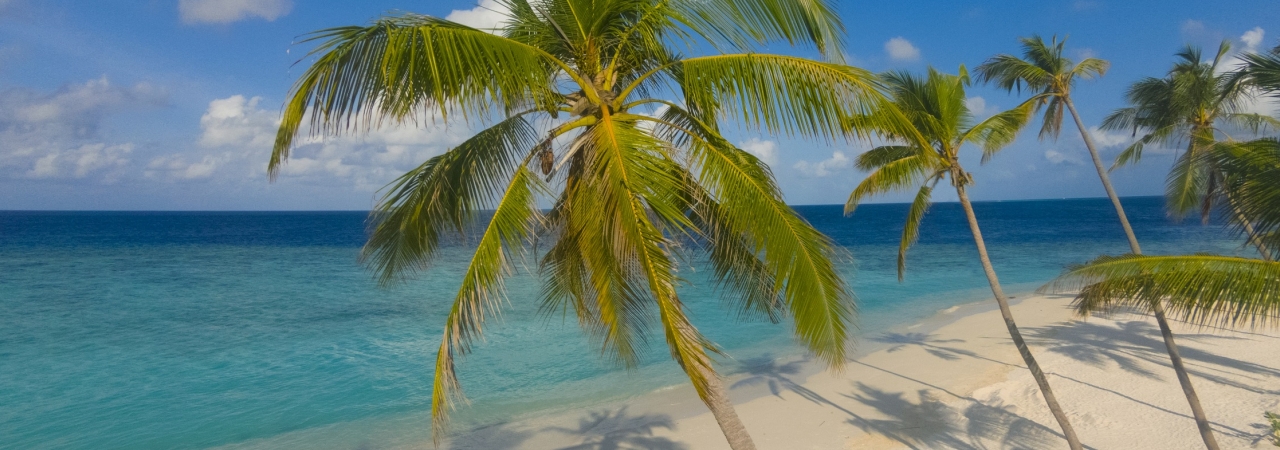 Milaidhoo Beach View