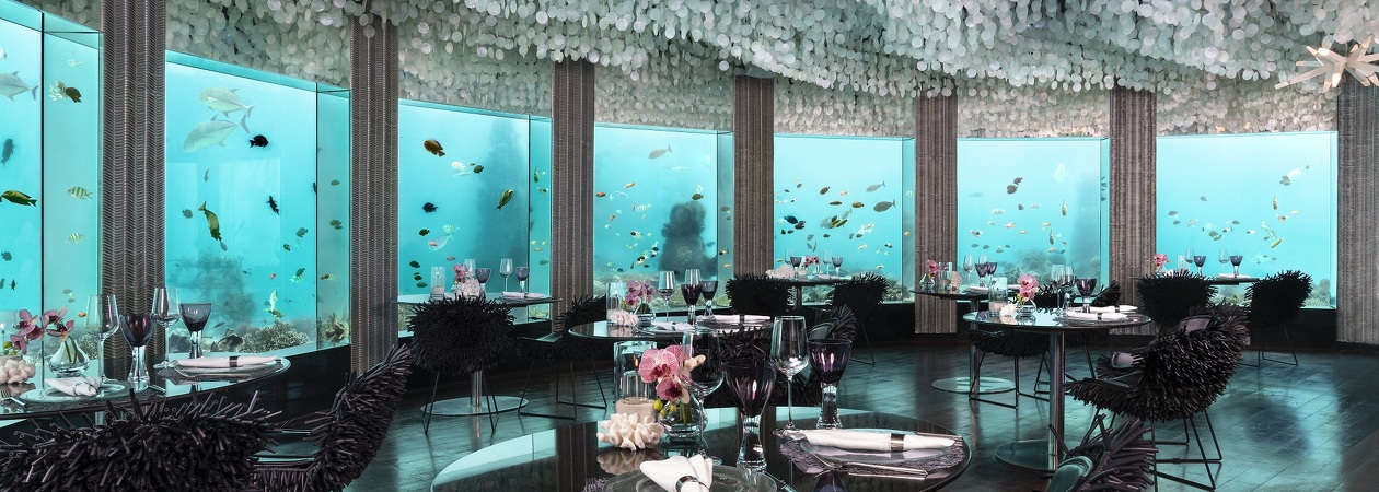 Niyama Subsix Restaurant