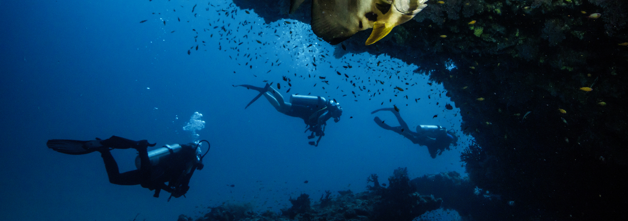 Robinson Club Noonu Maldives resort diving snorkelling house reef