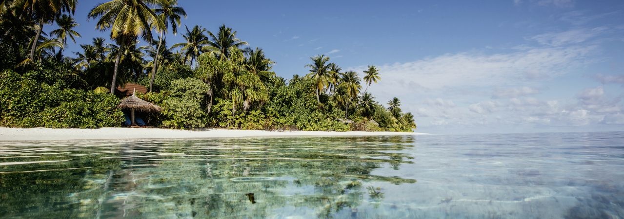 Robinson Club resort Maldives reef snorkelling
