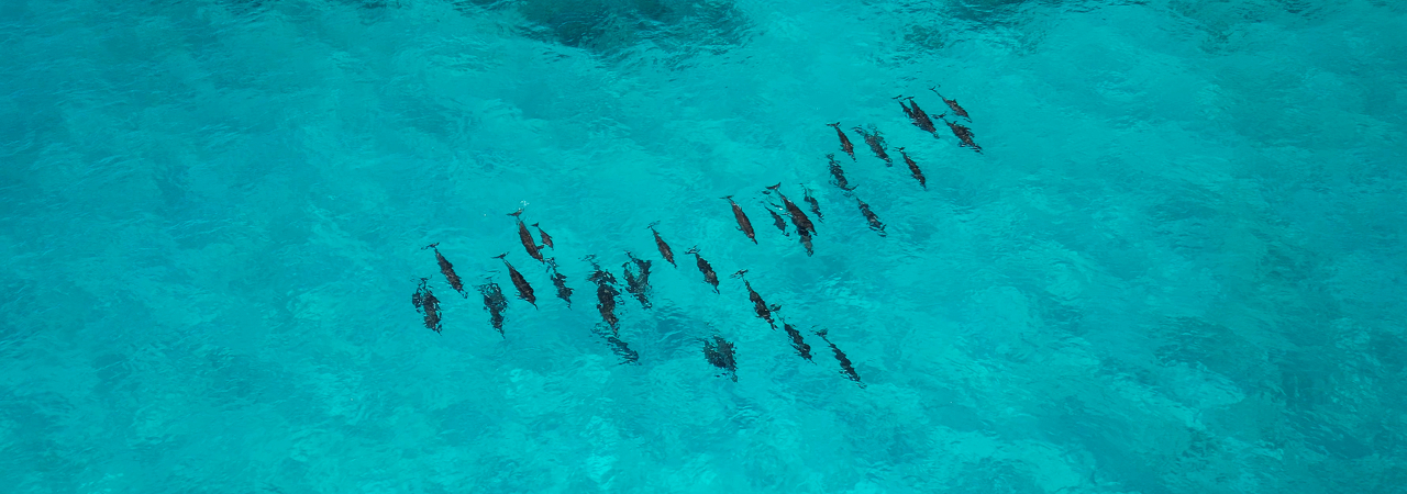 Soneva Secret Maldives