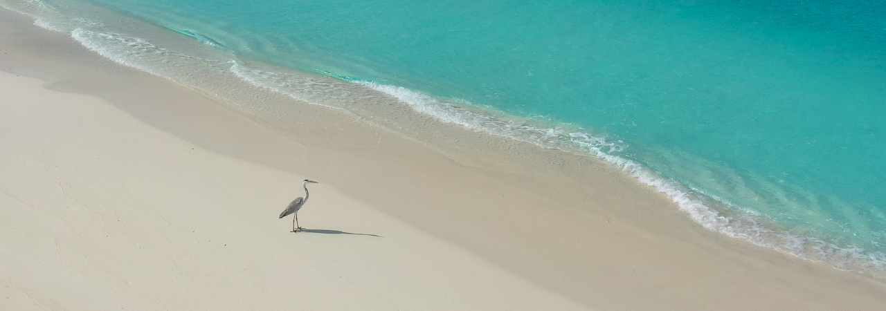 Soneva Secret Maldives