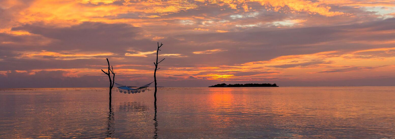 vilu reef beach and spa resort maldives&nbsp;