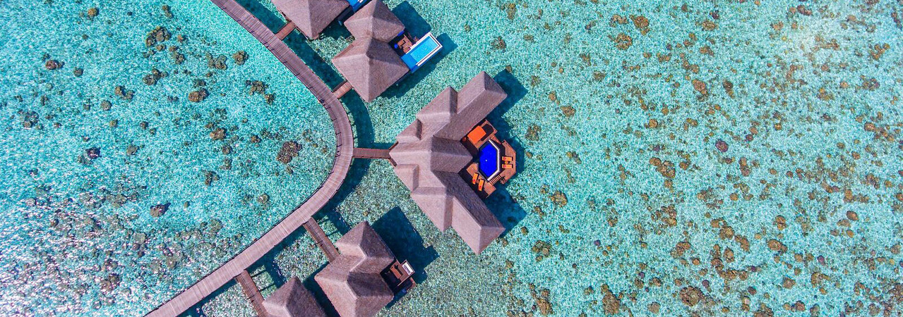 vilu reef beach and spa resort maldives&nbsp;