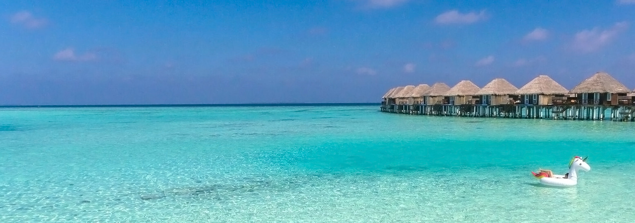 vilu reef beach and spa resort maldives unicorn